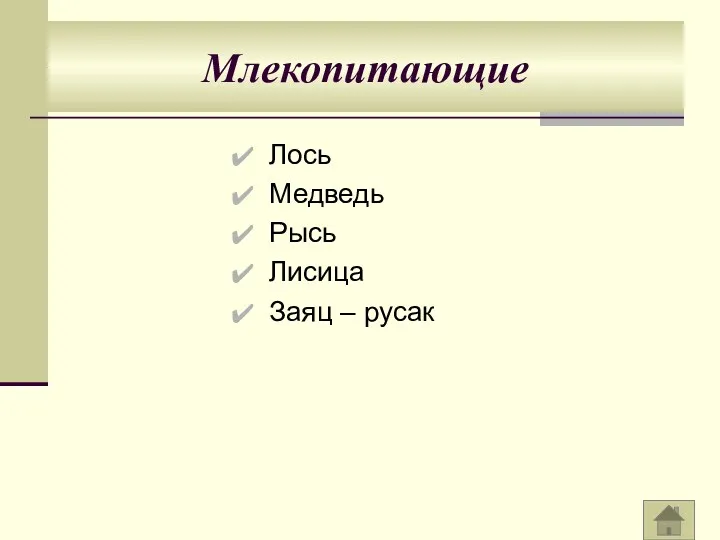 Лось Медведь Рысь Лисица Заяц – русак Млекопитающие