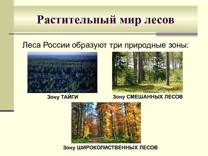 Леса России образуют три природные зоны: Растительный мир лесов Зону ТАЙГИ Зону СМЕШАННЫХ