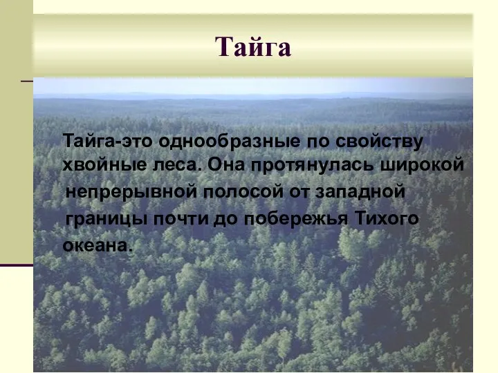 Тайга-это однообразные по свойству хвойные леса. Она протянулась широкой непрерывной полосой от западной