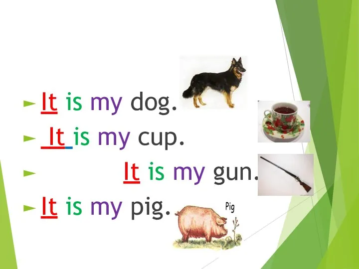 It is my dog. It is my cup. It is my gun. It is my pig.