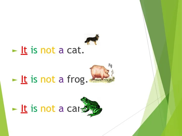 It is not a cat. It is not a frog. It is not a car.