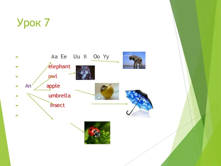 Урок 7 Aa Ee Uu Ii Oo Yy elephant owl An apple umbrella insect