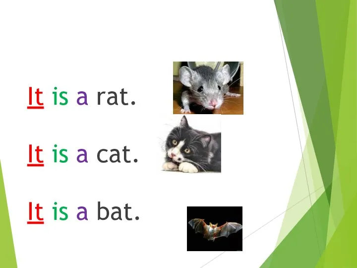 It is a rat. It is a cat. It is a bat.