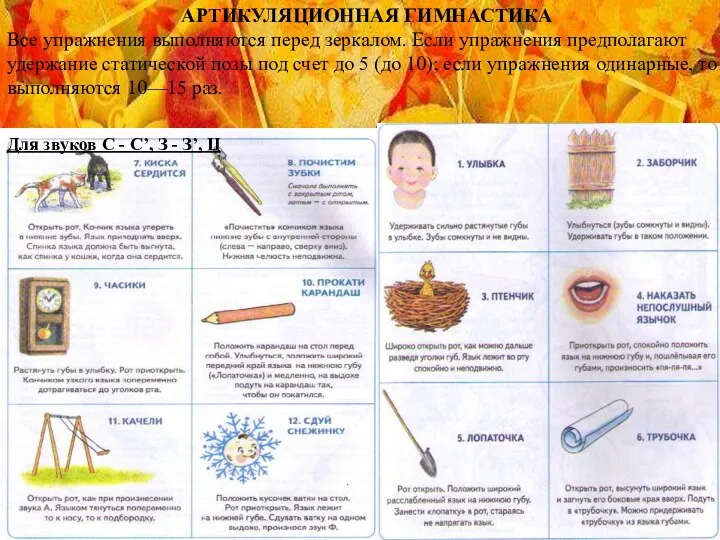 Для звуков С - С’, З - З’, Ц АРТИКУЛЯЦИОННАЯ ГИМНАСТИКА Все упражнения