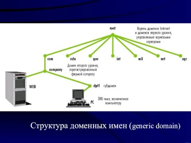 Структура доменных имен (generic domain)