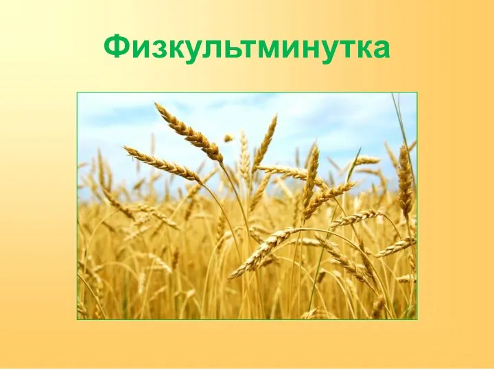 Физкультминутка