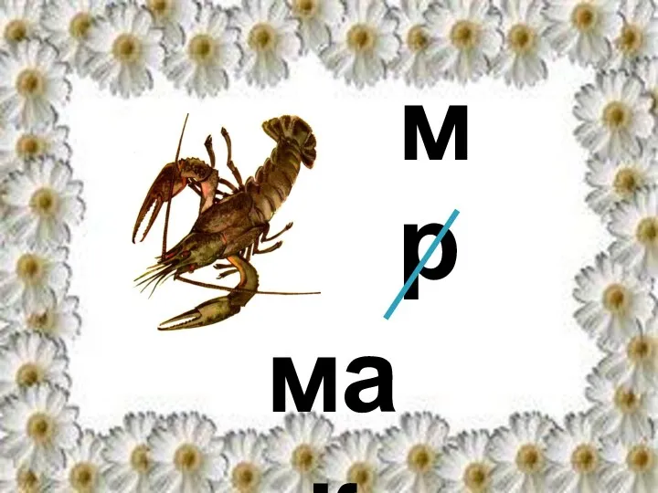 мак м р