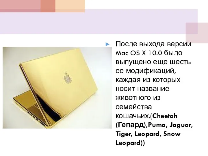 После выхода версии Mac OS X 10.0 было выпущено еще