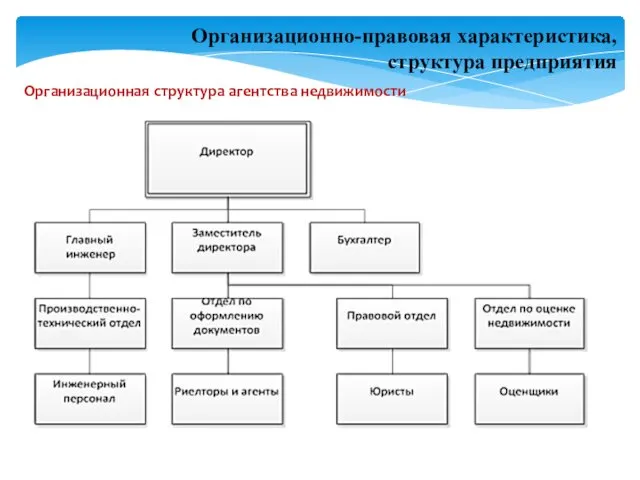 Организационная структура агентства недвижимости Организационно-правовая характеристика, структура предприятия