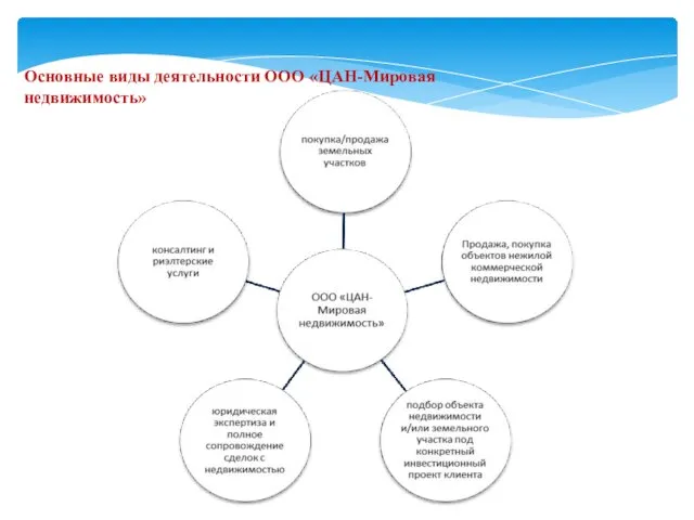 Основные виды деятельности ООО «ЦАН-Мировая недвижимость»