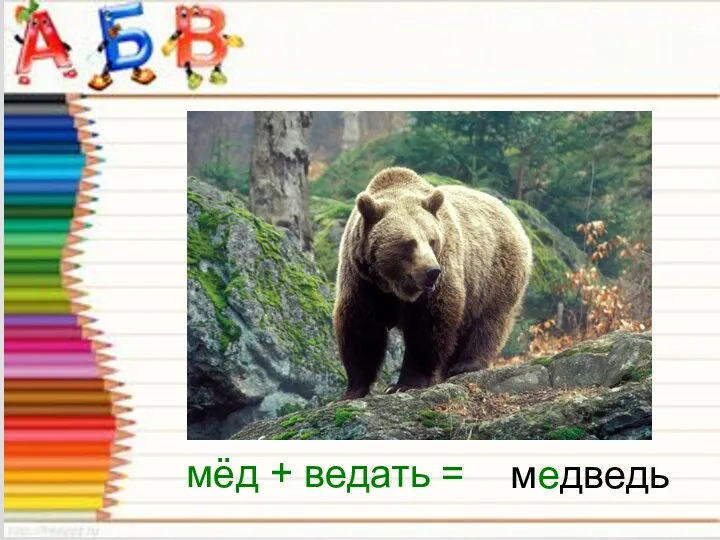 медведь мёд + ведать =