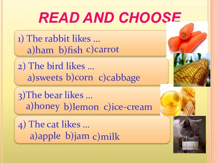 READ AND CHOOSE 1) The rabbit likes ... a)ham b)fish 2) The bird