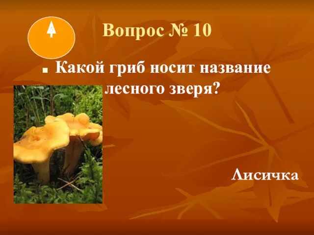 Вопрос № 10 Какой гриб носит название лесного зверя? Лисичка