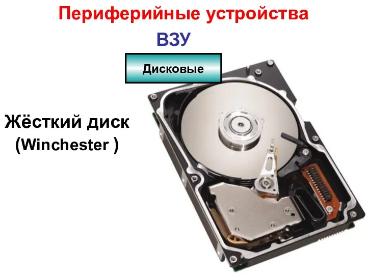 Жёсткий диск (Winchester ) ВЗУ Дисковые Периферийные устройства