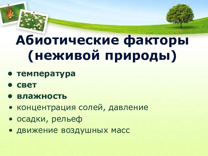 Абиотические факторы (неживой природы) температура свет влажность концентрация солей, давление осадки, рельеф движение воздушных масс