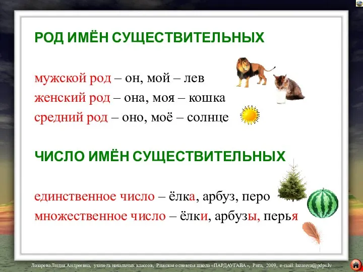 РОД ИМЁН СУЩЕСТВИТЕЛЬНЫХ мужской род – он, мой – лев