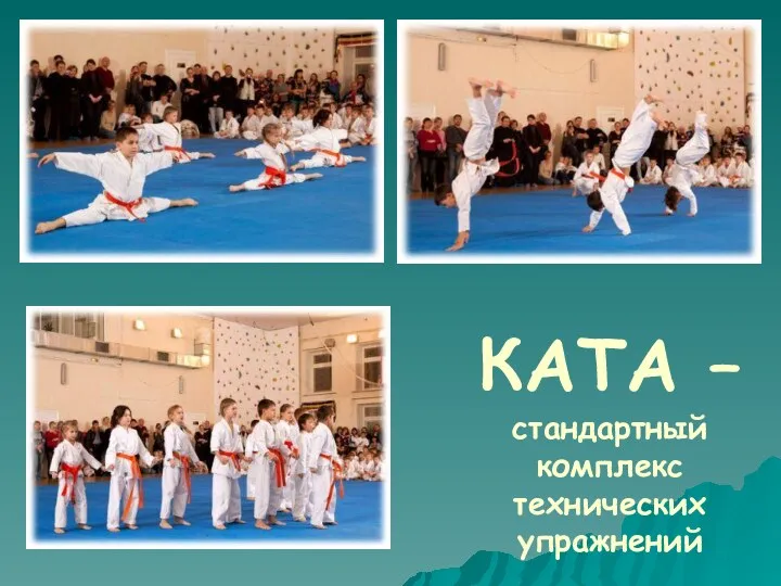 КАТА – стандартный комплекс технических упражнений