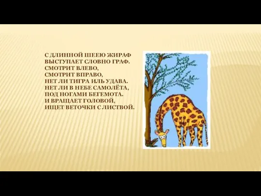 С ДЛИННОЙ ШЕЕЮ ЖИРАФ ВЫСТУПАЕТ СЛОВНО ГРАФ. СМОТРИТ ВЛЕВО, СМОТРИТ