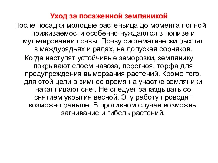 Уход за посаженной земляникой После посадки молодые растеньица до момента