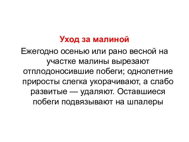 Уход за малиной Ежегодно осенью или рано весной на участке