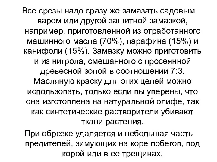 Все срезы надо сразу же замазать садовым варом или другой