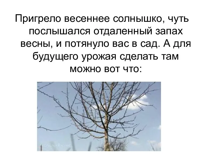 Пригрело весеннее солнышко, чуть послышался отдаленный запах весны, и потянуло