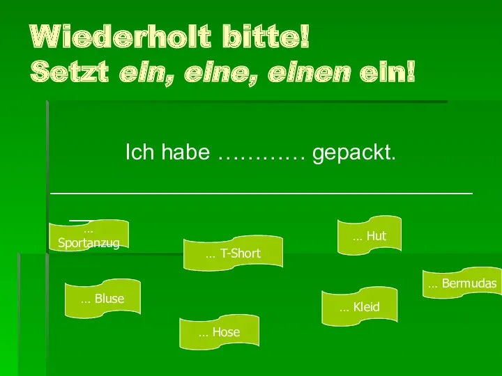 Wiederholt bitte! Setzt ein, eine, einen ein! Ich habe …………