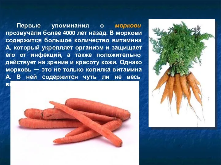 Первые упоминания о моркови прозвучали более 4000 лет назад. В
