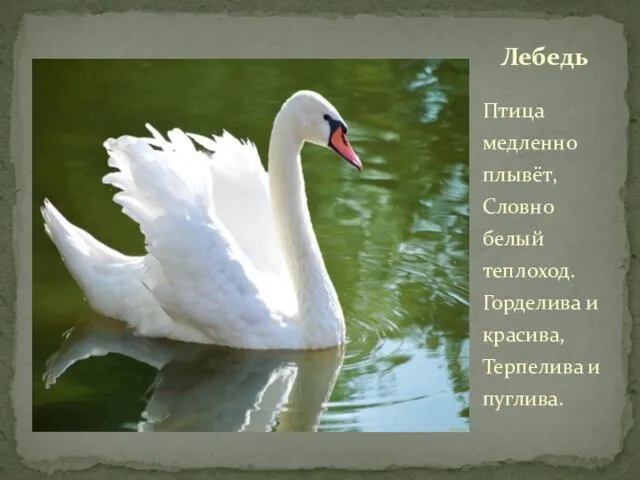 Птица медленно плывёт, Словно белый теплоход. Горделива и красива, Терпелива и пуглива. Лебедь