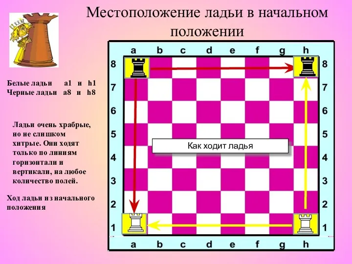 Местоположение ладьи в начальном положении Ладьи очень храбрые, но не слишком хитрые. Они