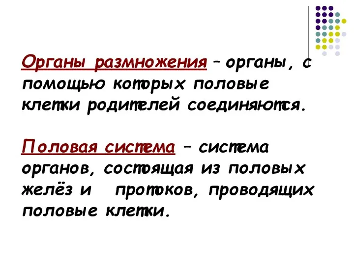 Органы размножения – органы, с помощью которых половые клетки родителей соединяются. Половая система