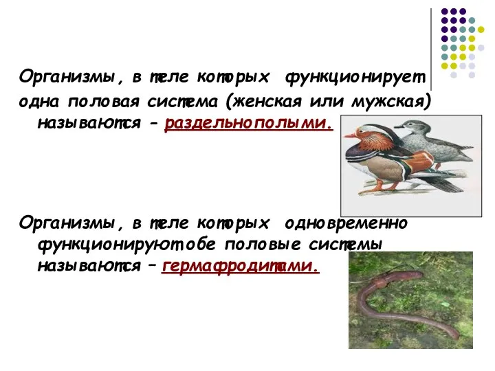 Организмы, в теле которых функционирует одна половая система (женская или мужская) называются -