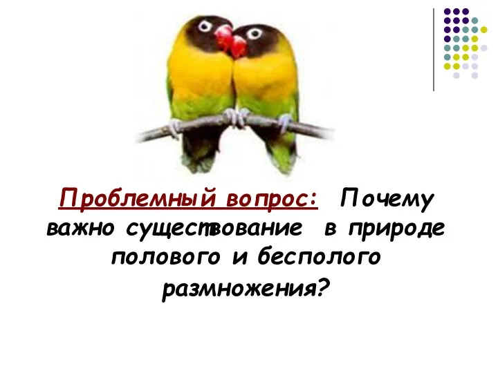 Проблемный вопрос: Почему важно существование в природе полового и бесполого размножения?