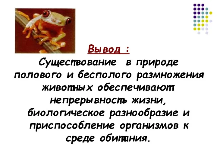 Вывод : Существование в природе полового и бесполого размножения животных обеспечивают: непрерывность жизни,