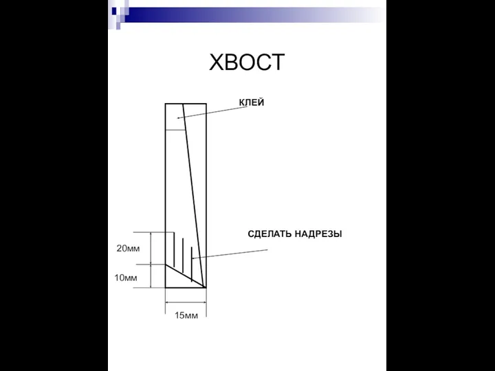 ХВОСТ 15мм КЛЕЙ СДЕЛАТЬ НАДРЕЗЫ 20мм 10мм