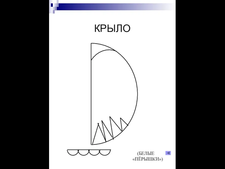 КРЫЛО (БЕЛЫЕ «ПЁРЫШКИ»)