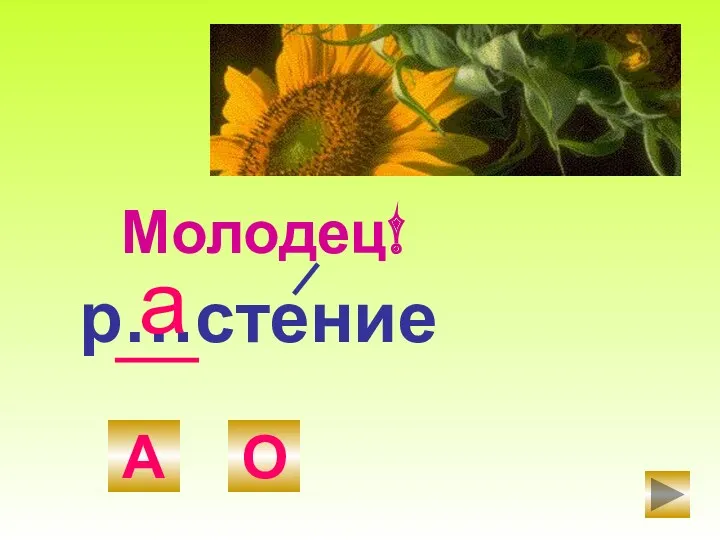 р…стение А О а Молодец!