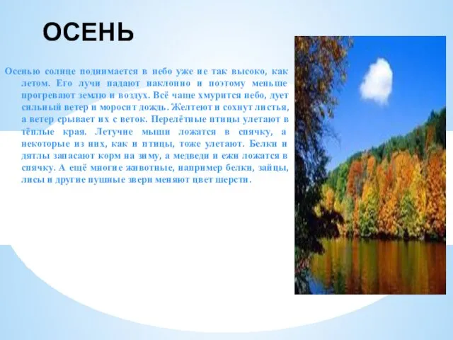 ОСЕНЬ Осенью солнце поднимается в небо уже не так высоко, как летом. Его