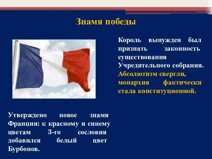 Утверждено новое знамя Франции: к красному и синему цветам 3-го сословия добавился белый