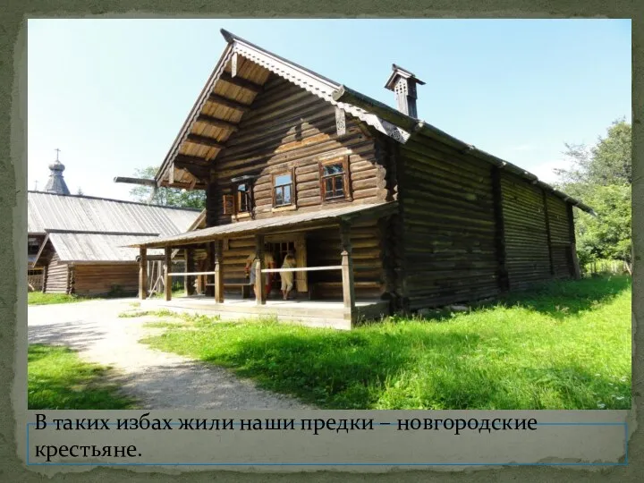 В таких избах жили наши предки – новгородские крестьяне.