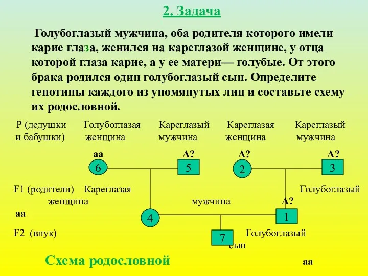 2. Задача Голубоглазый мужчина, оба родителя которого имели карие глаза,