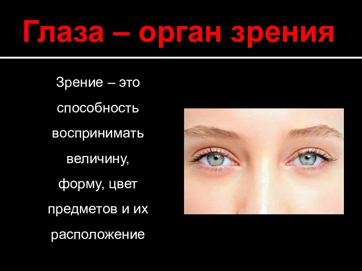 Глаза – орган зрения Зрение – это способность воспринимать величину, форму, цвет предметов и их расположение