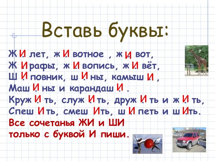 Ж . лет, ж . вотное , ж . вот,