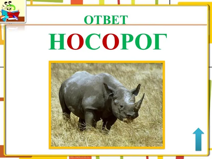 ОТВЕТ НОСОРОГ