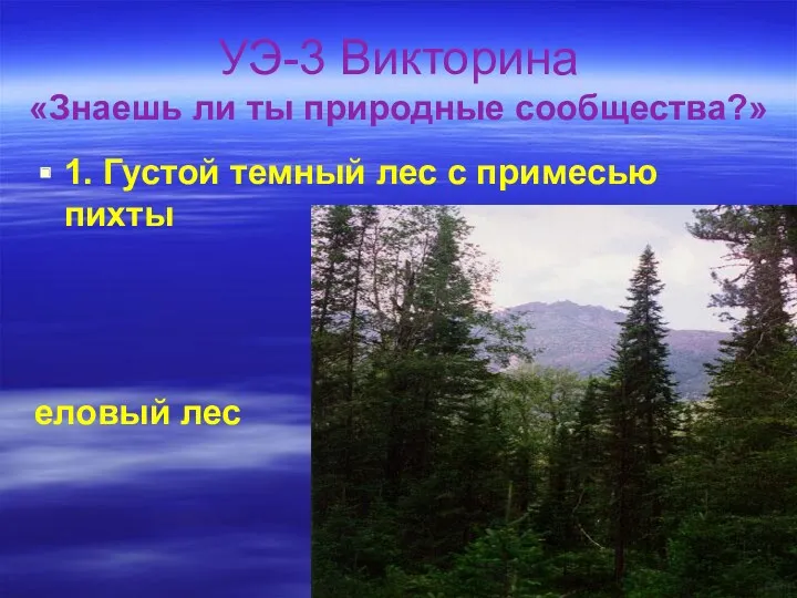 УЭ-3 Викторина «Знаешь ли ты природные сообщества?» 1. Густой темный лес с примесью пихты еловый лес