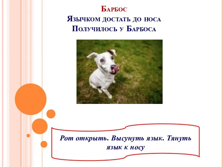 Барбос Язычком достать до носа Получилось у Барбоса Рот открыть. Высунуть язык. Тянуть язык к носу