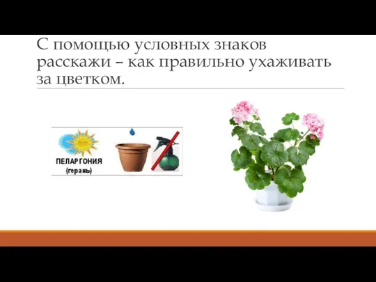 С помощью условных знаков расскажи – как правильно ухаживать за цветком.