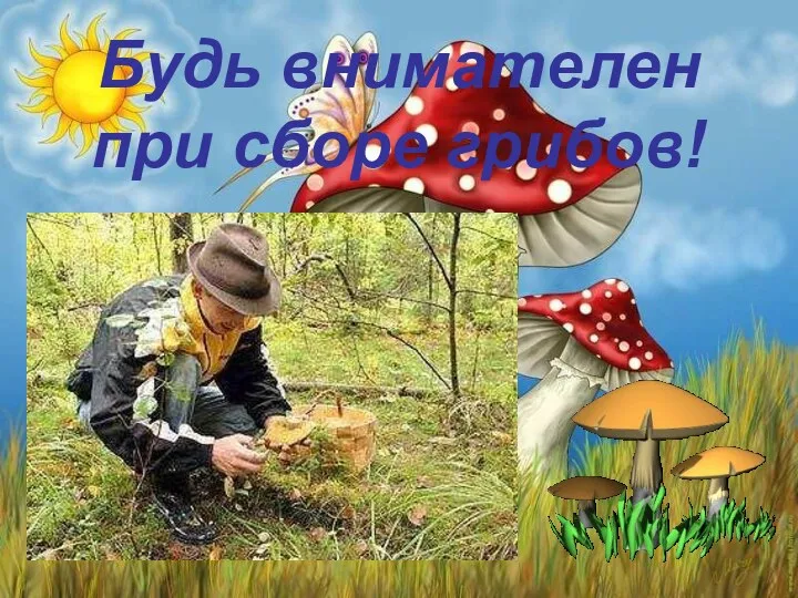 Будь внимателен при сборе грибов!