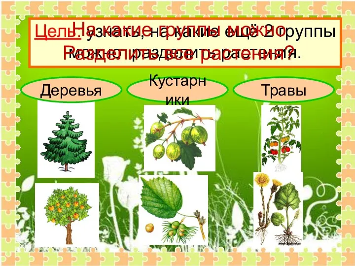 Деревья Кустарники Травы Цель: узнать, на какие ещё 2 группы можно разделить растения.