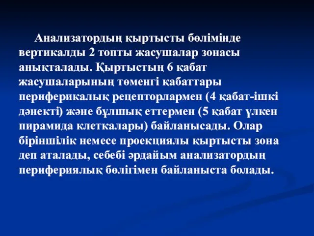 Анализатордың қыртысты бөлімінде вертикалды 2 топты жасушалар зонасы анықталады. Қыртыстың